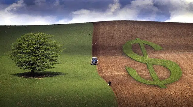 Logo da empresa inquilina